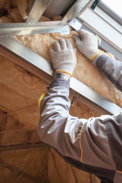 Best Commercial Insulation in Virginia, IL