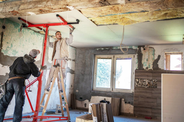 Best Specialty Insulation in Virginia, IL