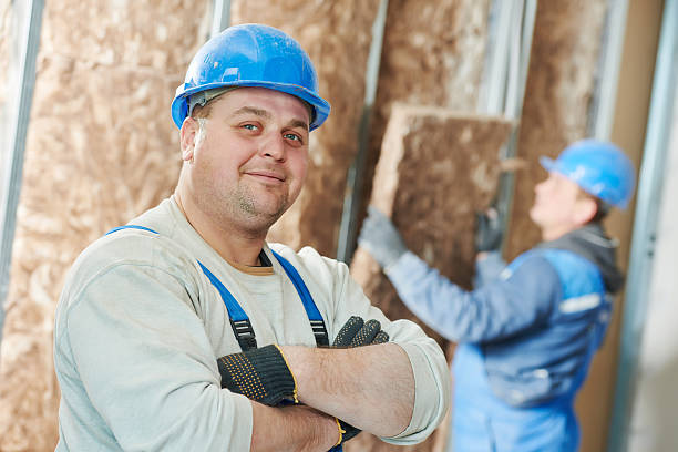 Best Sustainability and Green Building in Virginia, IL